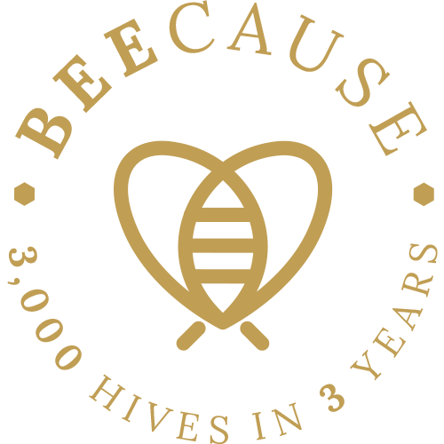 BEECAUSE 3,000 HIVES IN 3 YEARS