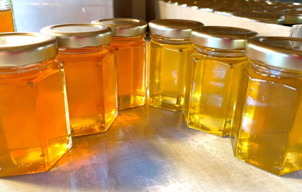 Bridgefield Park Farm Honey