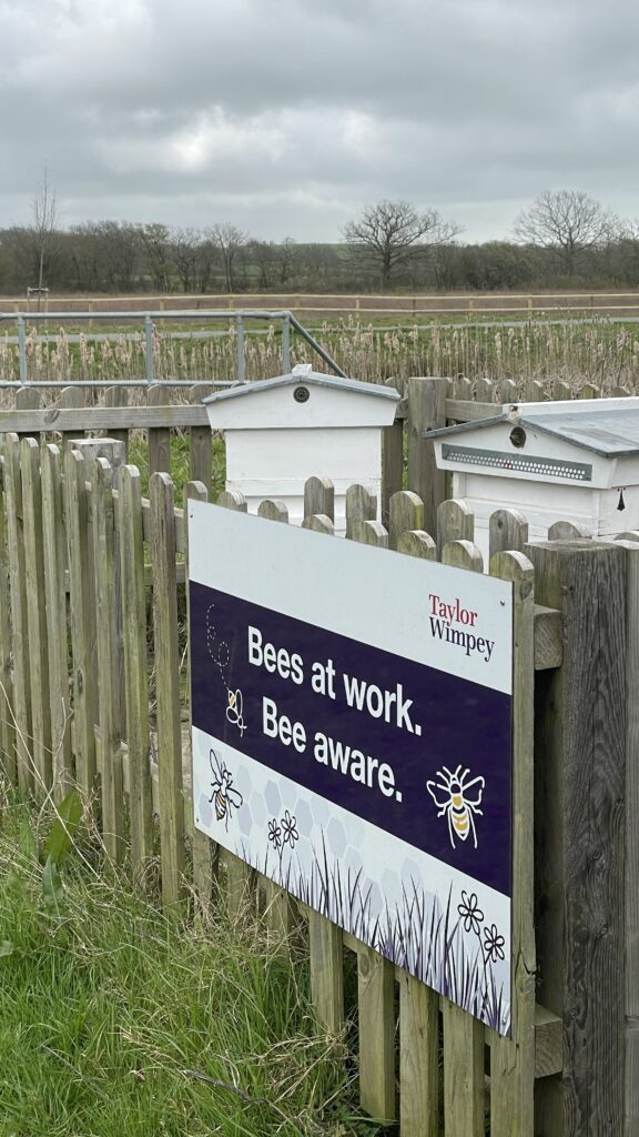 A Taylor Wimpey aviary site.