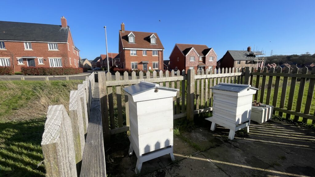 One of the Taylor Wimpey aviarys
