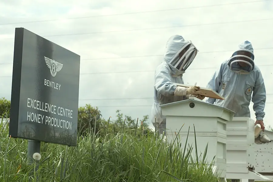 Managed Bee hives at Bentley