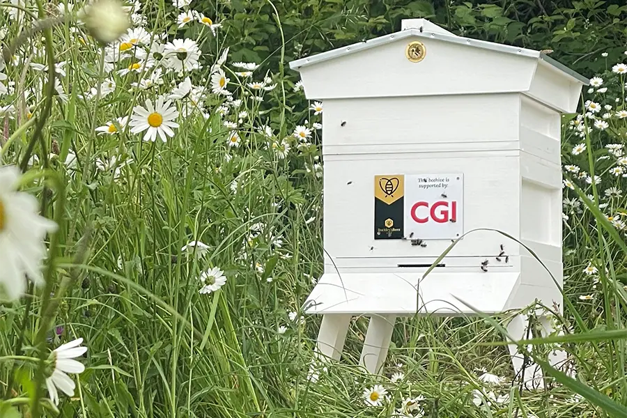 A corporate bee hive surrounded by wildflowers.