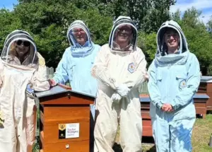 Buckleys Bees and Taylor Wimpey