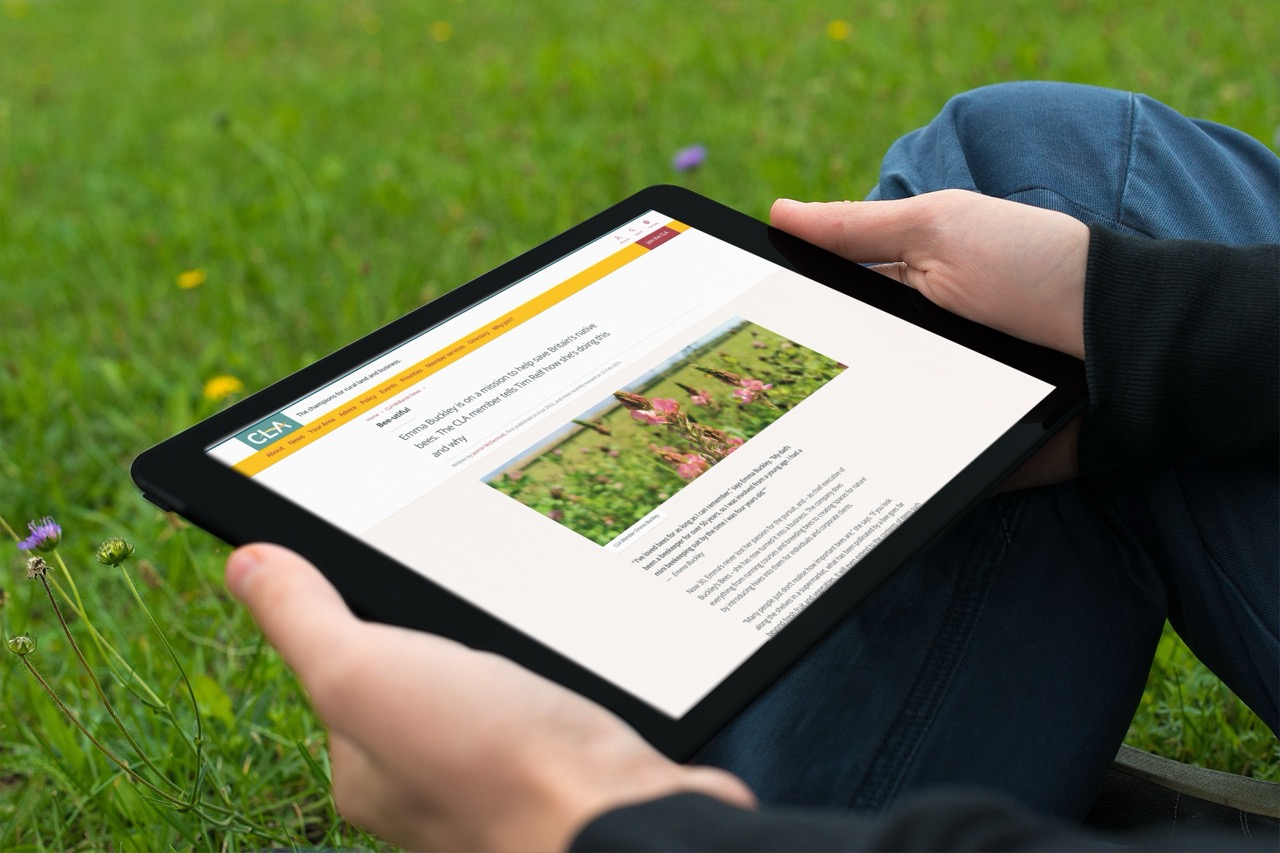 The CLA article being read on an iPad